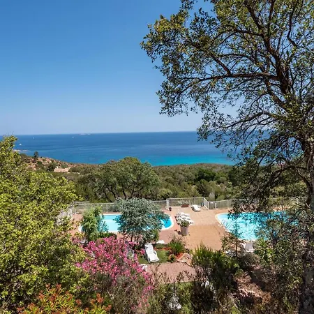 Casa de Férias El Oro - Terrasse Vue Et Piscine - Vecchio Porto-Vecchio (Corsica)