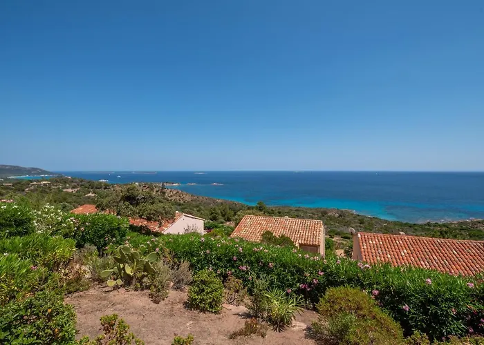 El Oro - Terrasse Vue Et Piscine - Vecchio Porto Vecchio